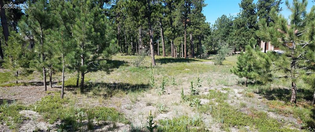 17755 Caribou Drive - Photo 1