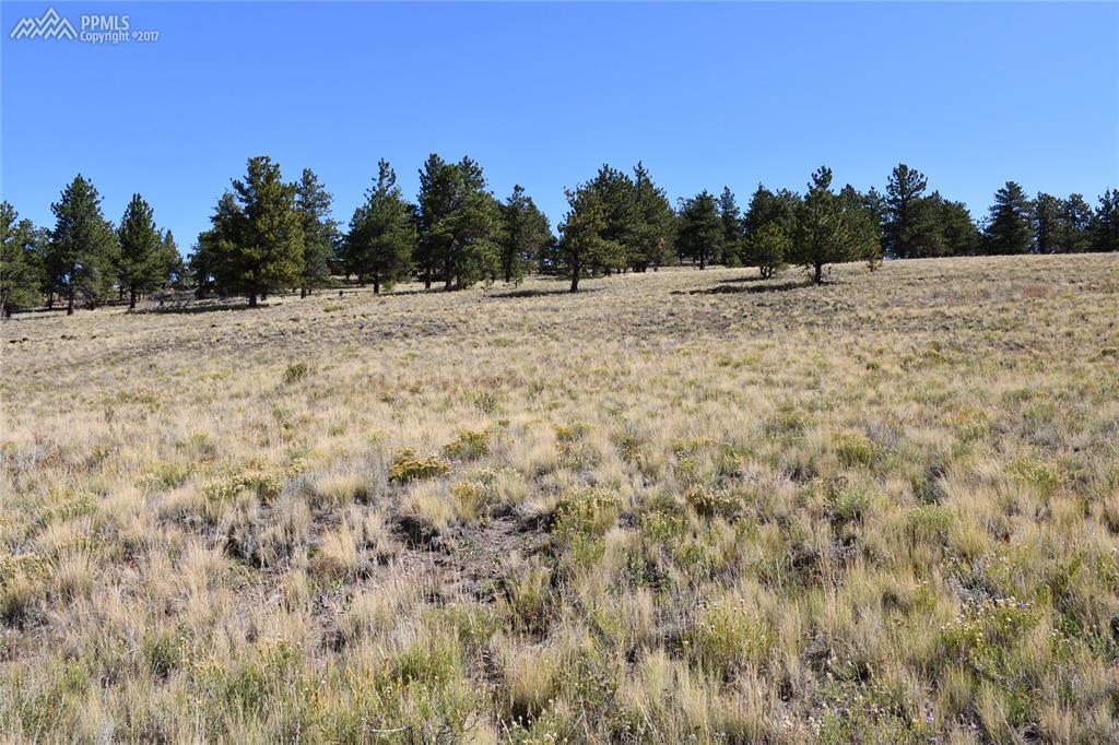2122 Windmill Drive - Photo 1