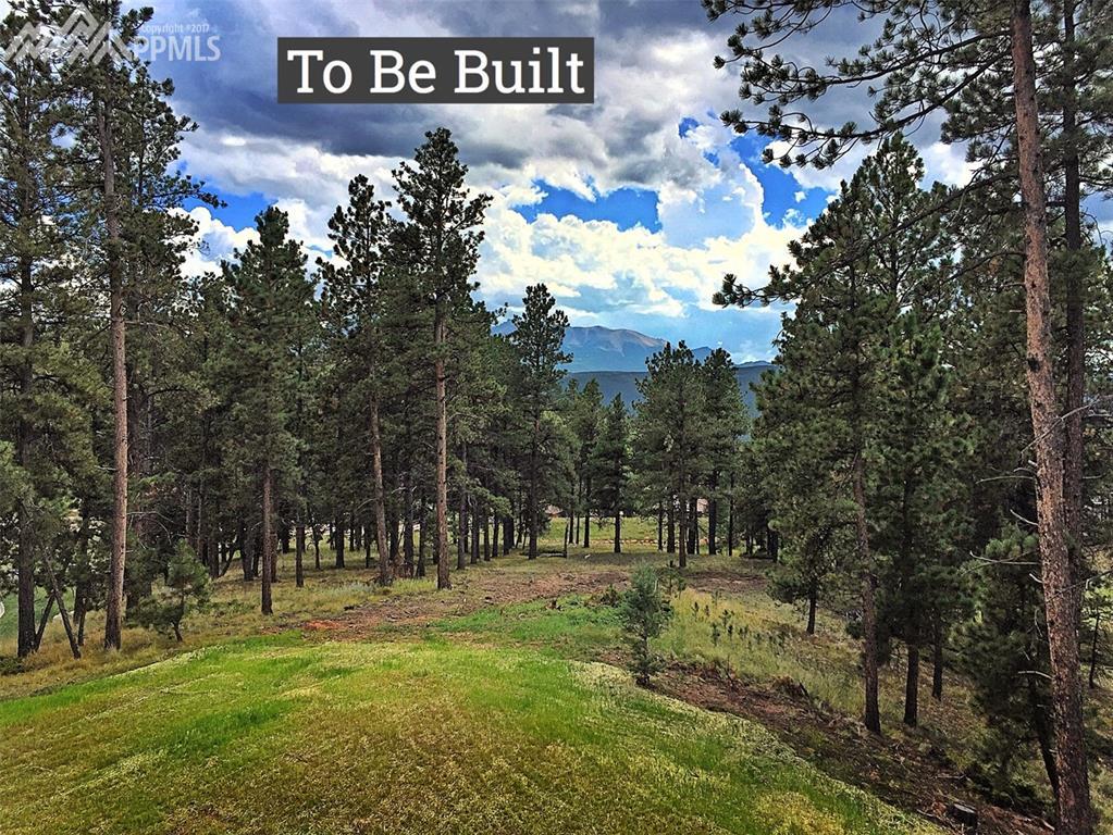 940 Spacious Skies Drive - Photo 1