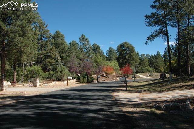 7442 Cameron Drive - Photo 1