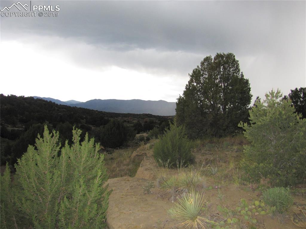 TBD Chase Avenue - Photo 1