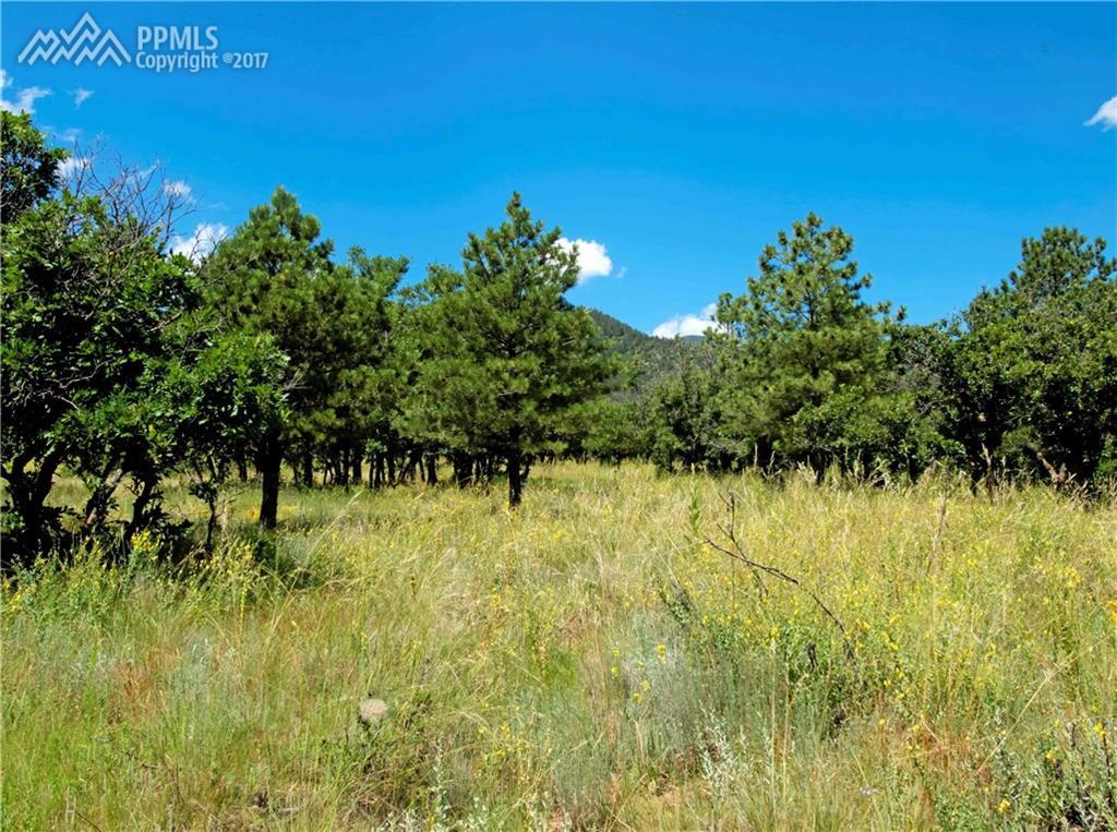 Lot 5 Oakmoor Heights - Photo 1