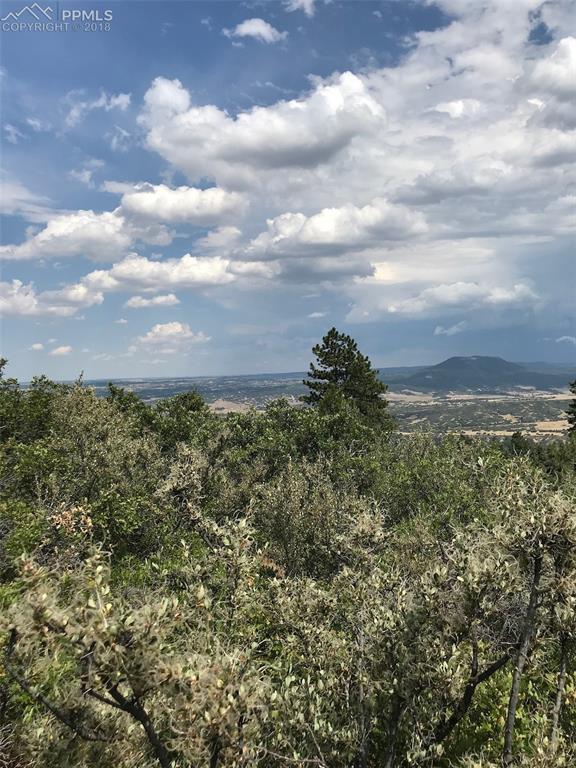 0 Jackson Creek Road - Photo 1