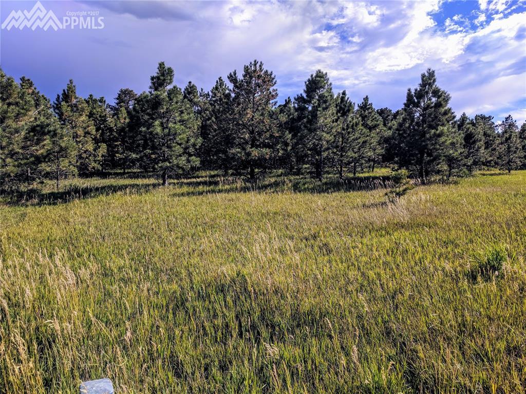 18310 Steeplechase Drive - Photo 1