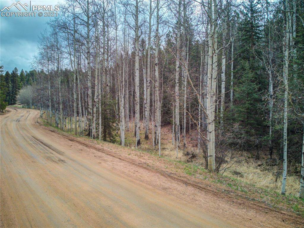 138 Snowberry Creek Drive - Photo 1
