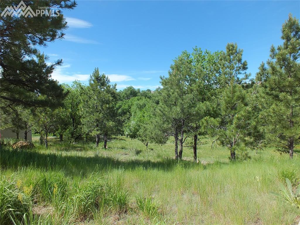 7490 Colton Bluffs View - Photo 1