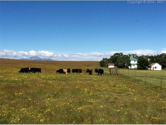 Highway 94 Highway - Photo 1