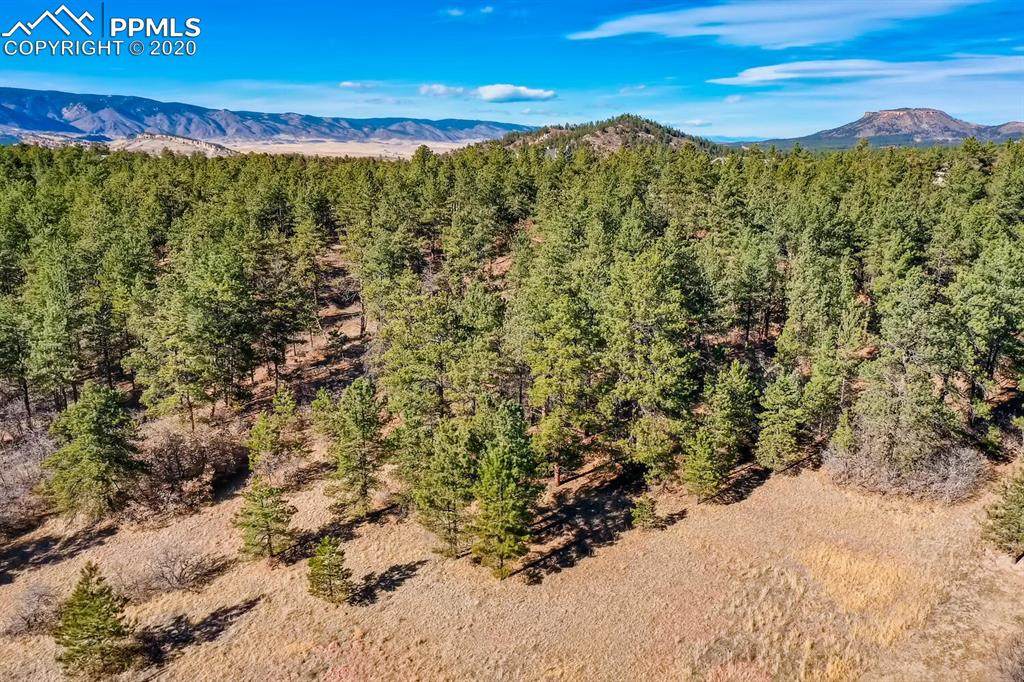 2251 Perry Park Avenue - Photo 1