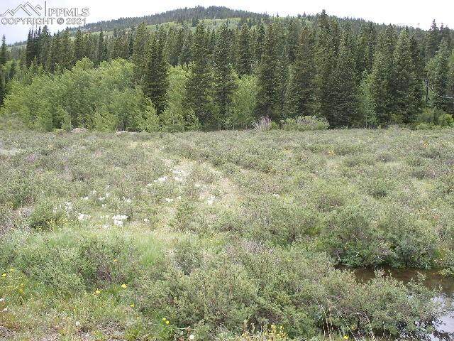 2515 County Road 6 - Photo 1