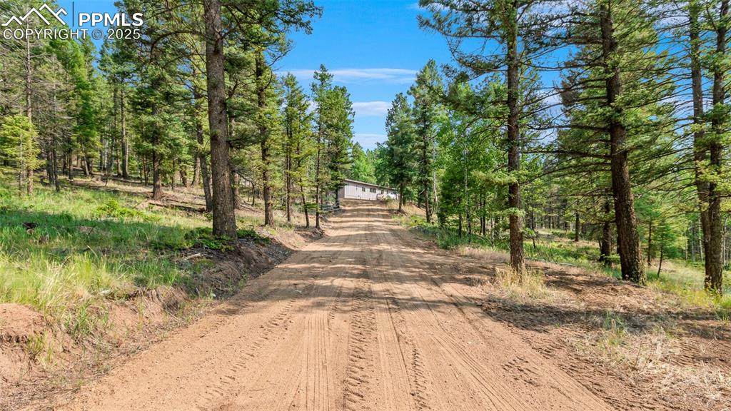 900 Beaver Creek Drive - Photo 1