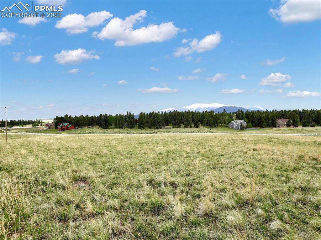 195 Joshua Road - Photo 1