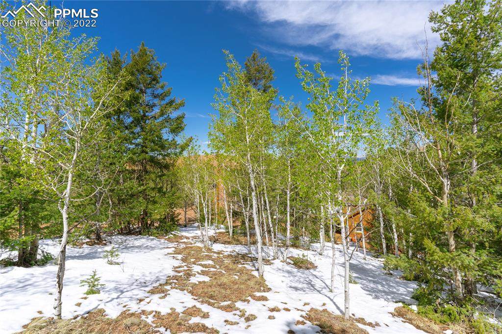 132 Ajax Court - Photo 1
