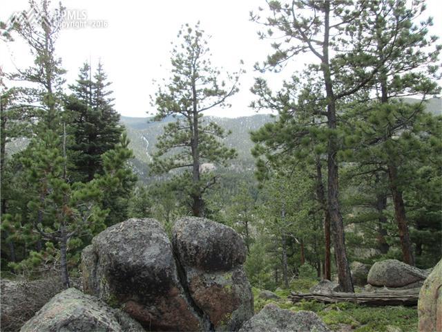 454 Palmer Trail - Photo 1