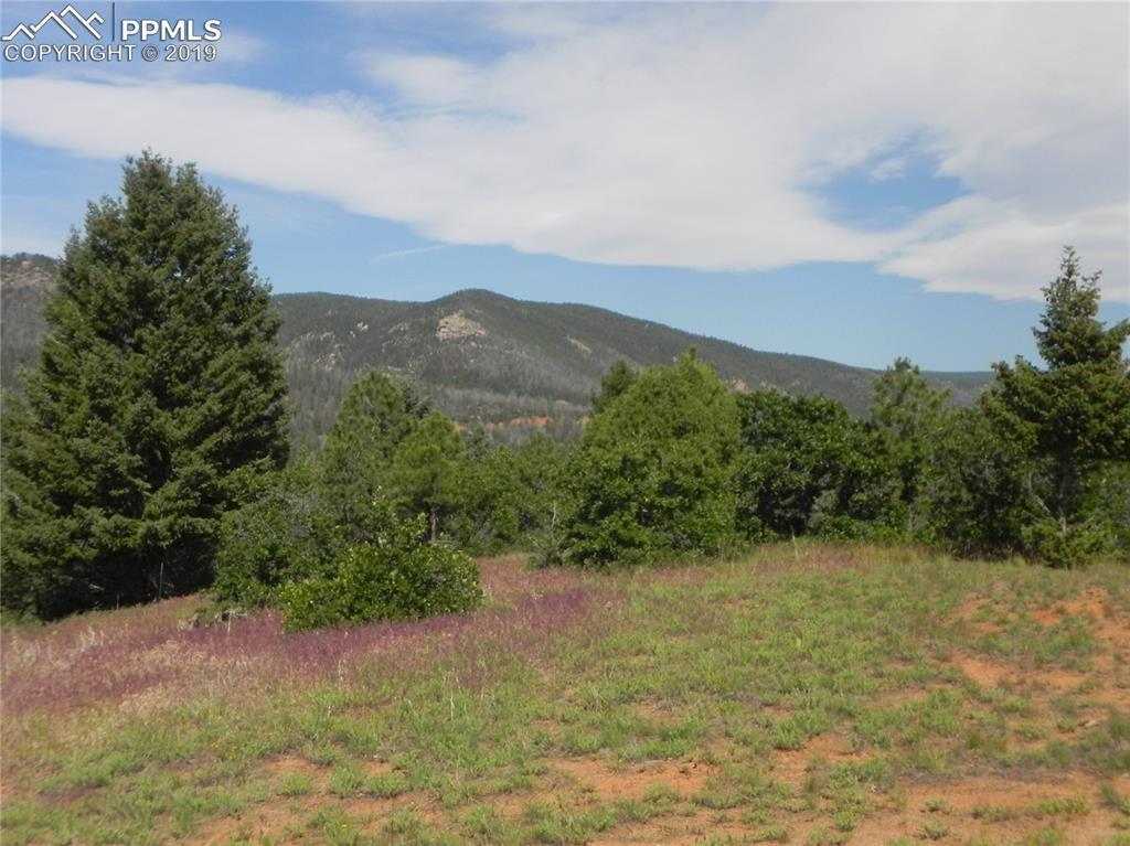 4631 Delaware Drive - Photo 1