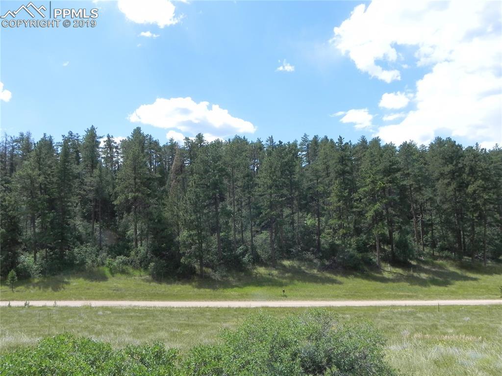 4596 Comanche Drive - Photo 1
