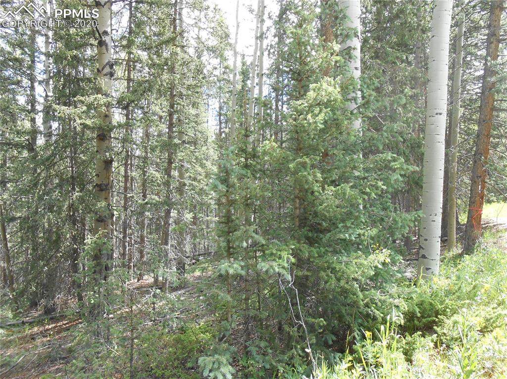 109 Hillside Terrace - Photo 1