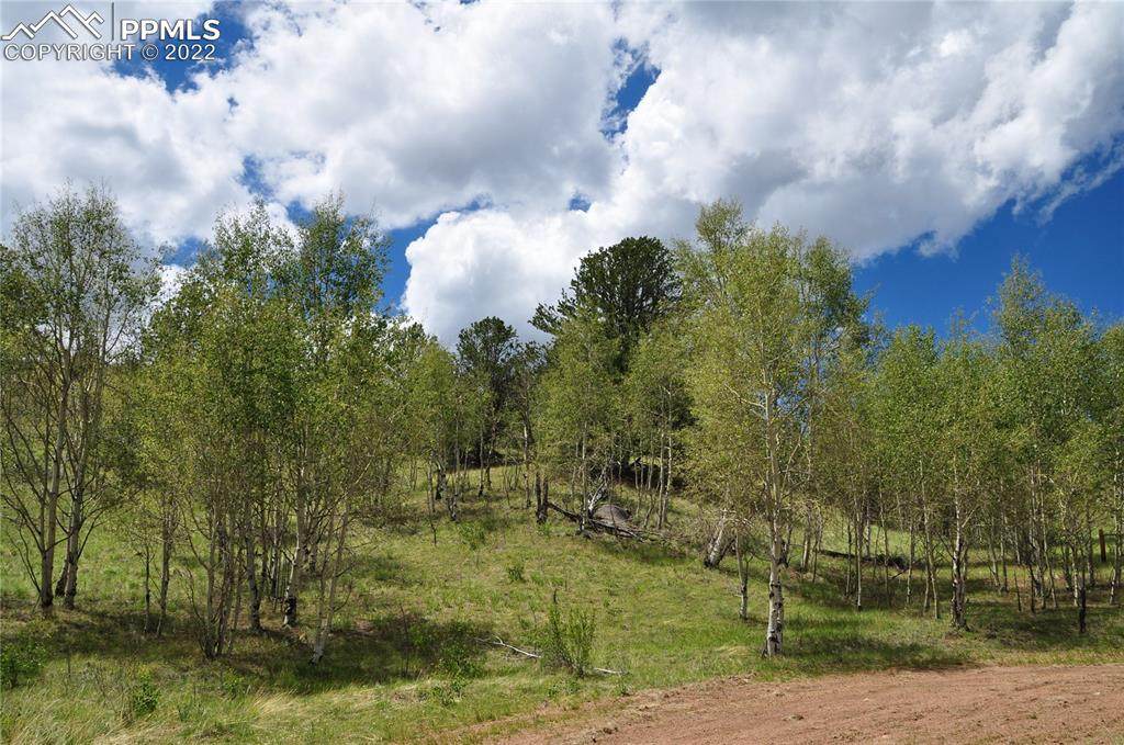 287 Wildhorse Road - Photo 1