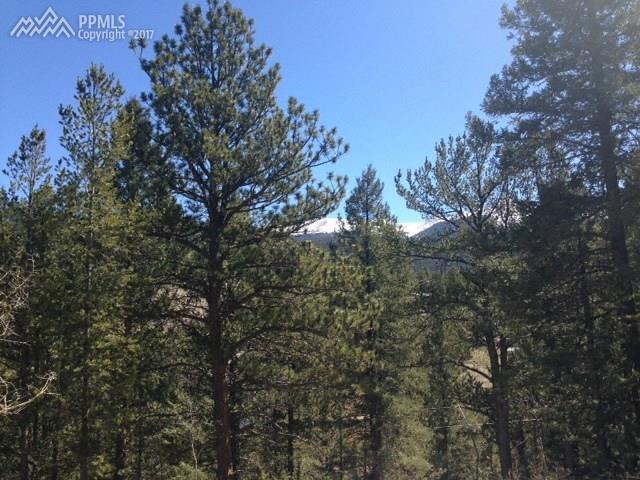 490 Grosbeak Circle - Photo 1