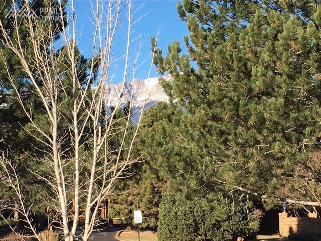 3247 Viridian Point - Photo 1