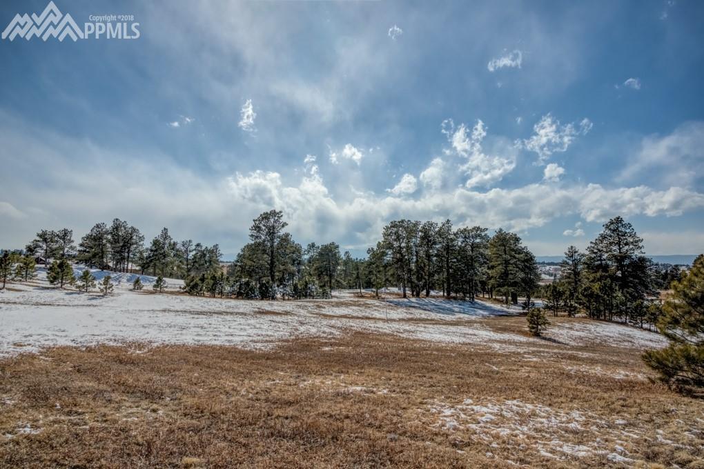3640 Blue Heron Spring Lane - Photo 1