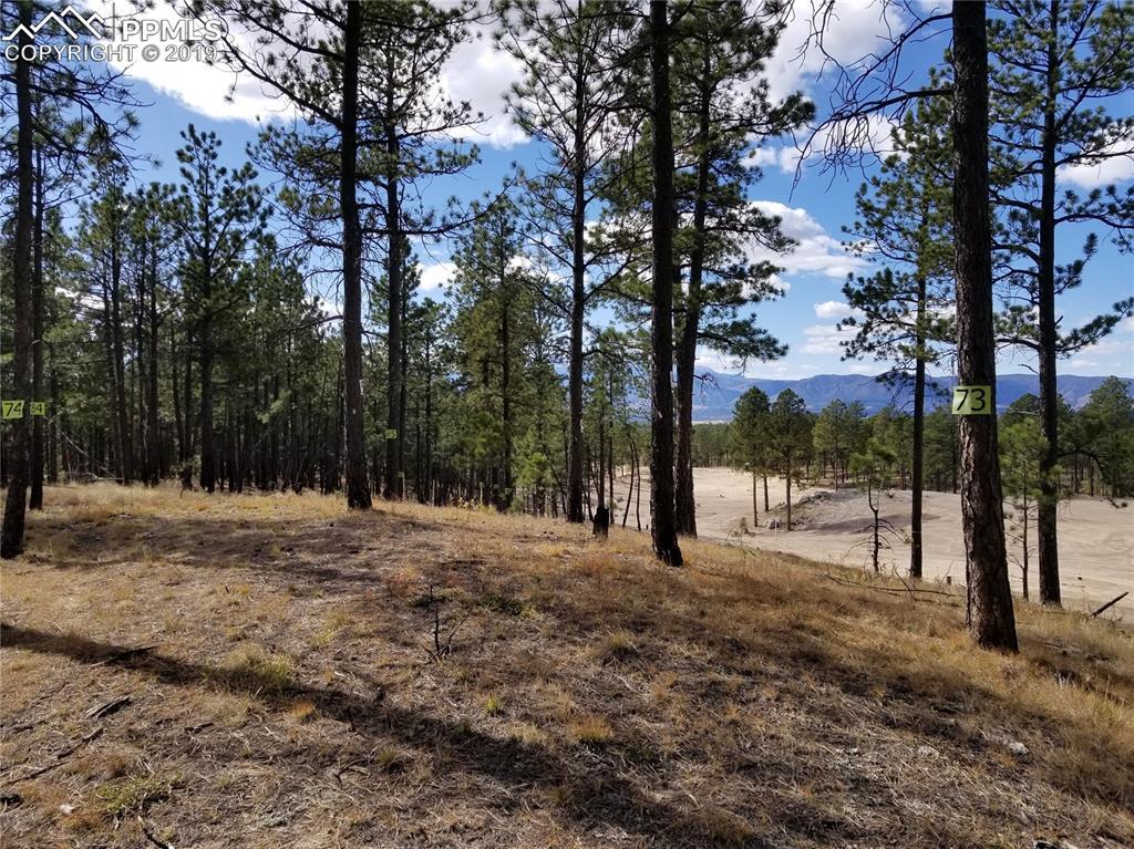 5202 Gold Run Court - Photo 1