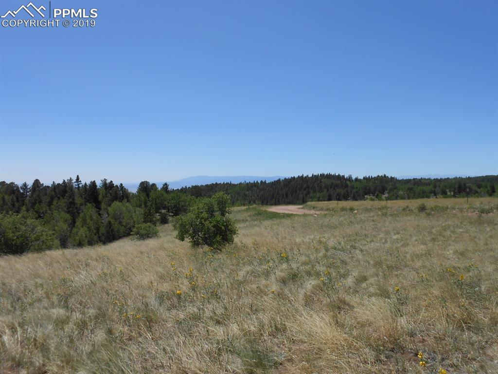 TBD County 863 Road - Photo 1
