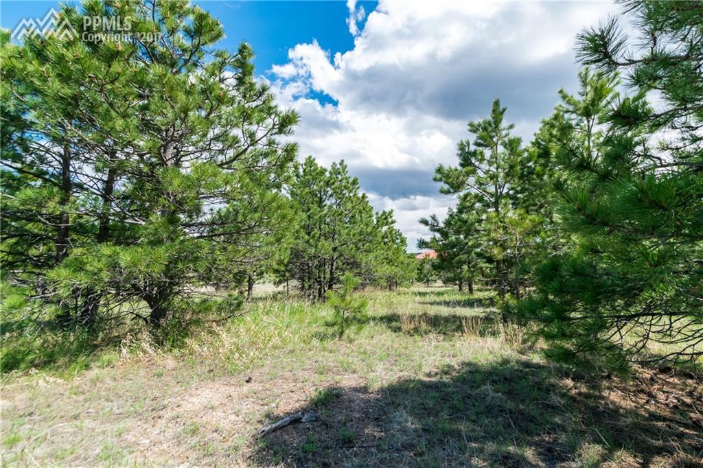 1605 Trumpeters Court - Photo 1