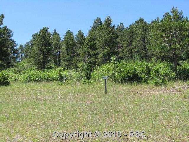 756 Forest View Way - Photo 1