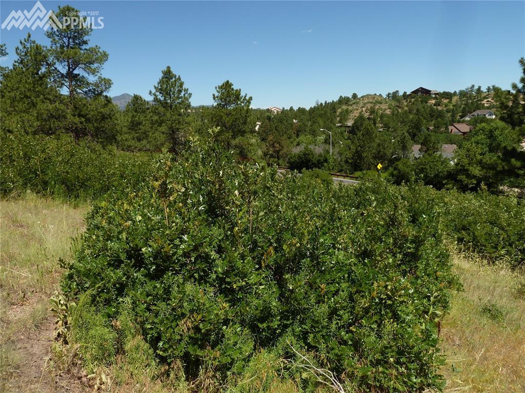 45 Woodmen Road - Photo 1