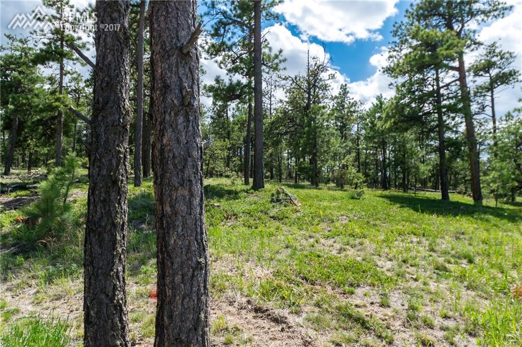 19325 Hilltop Pines Path - Photo 1
