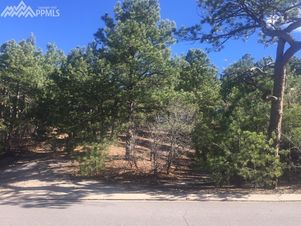 6115 Briarcliff Road - Photo 1