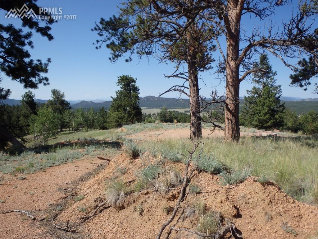 76 Bison Circle - Photo 1