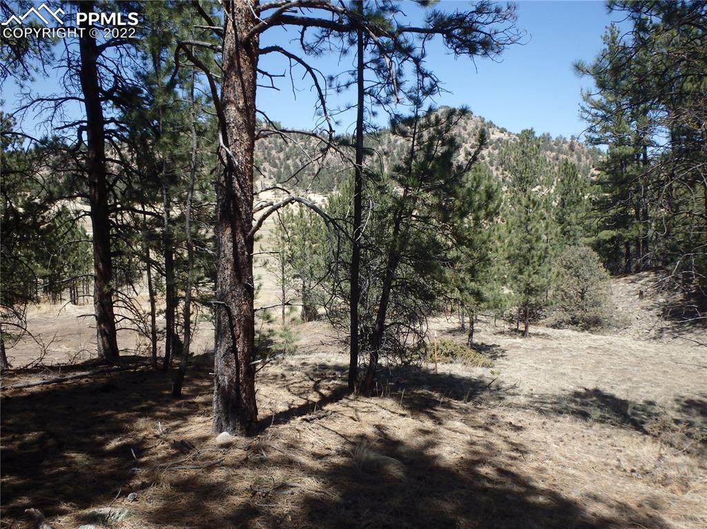 1298 County Road 112 - Photo 1