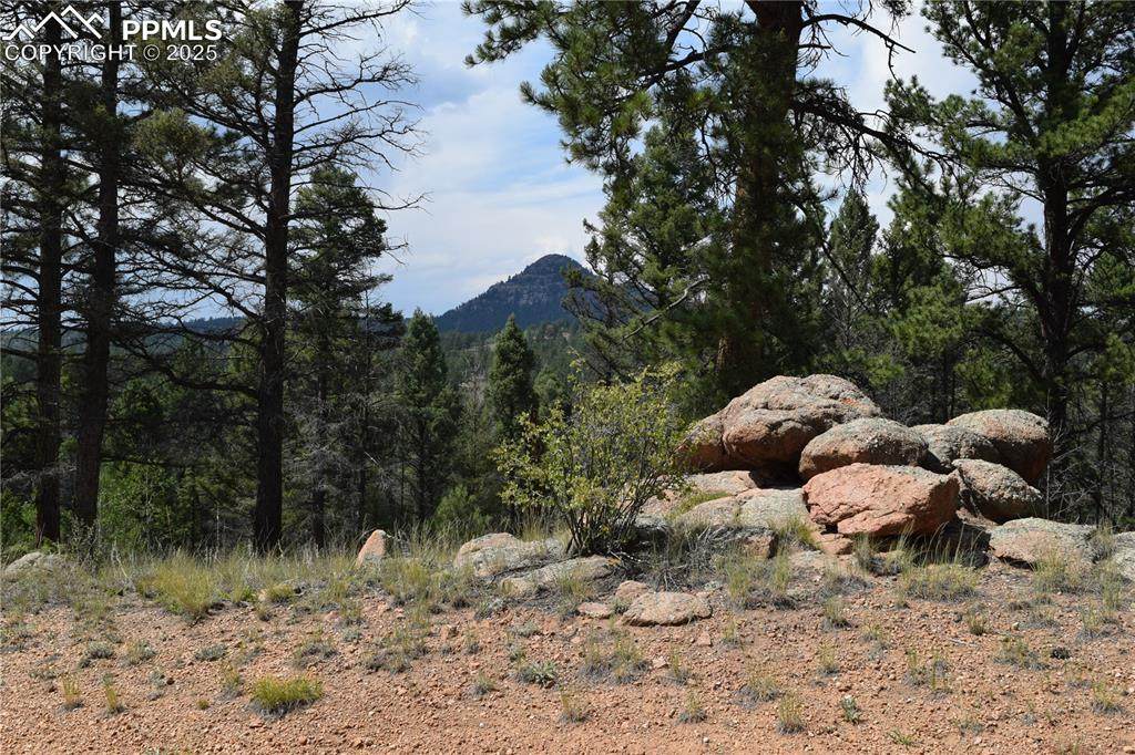 93 Kiowa Creek Trail - Photo 1