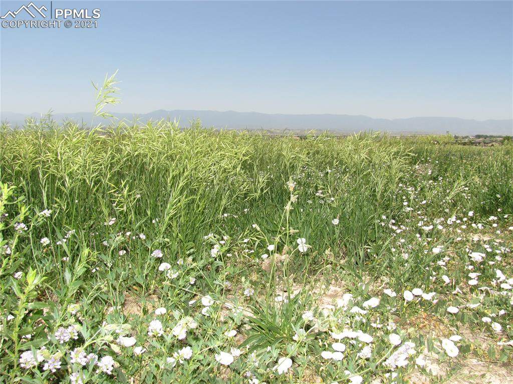 77 Top Rail Trail - Photo 1