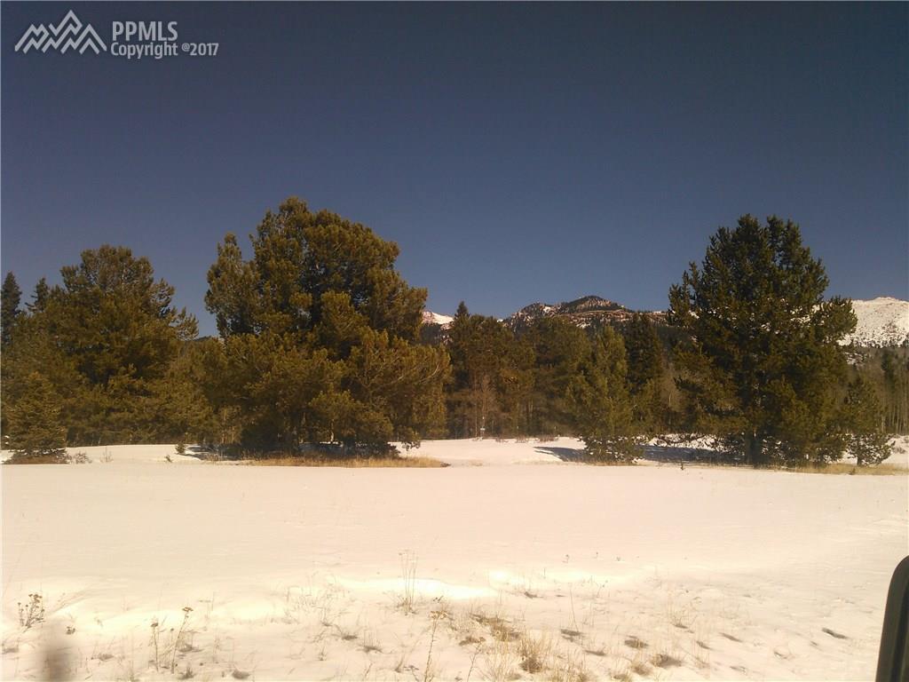 000 County 61 Road - Photo 1