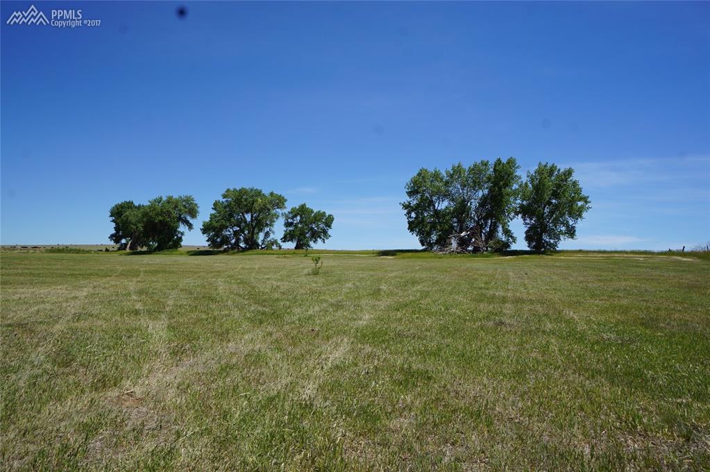 Squirrel Creek Road - Photo 1