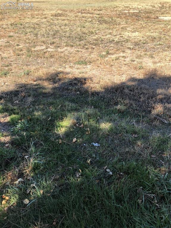 0 Vollmer Road - Photo 1