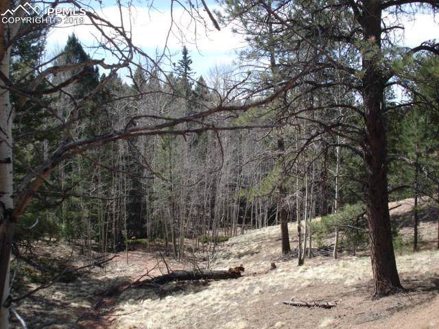 728 Little Topsey Drive - Photo 1
