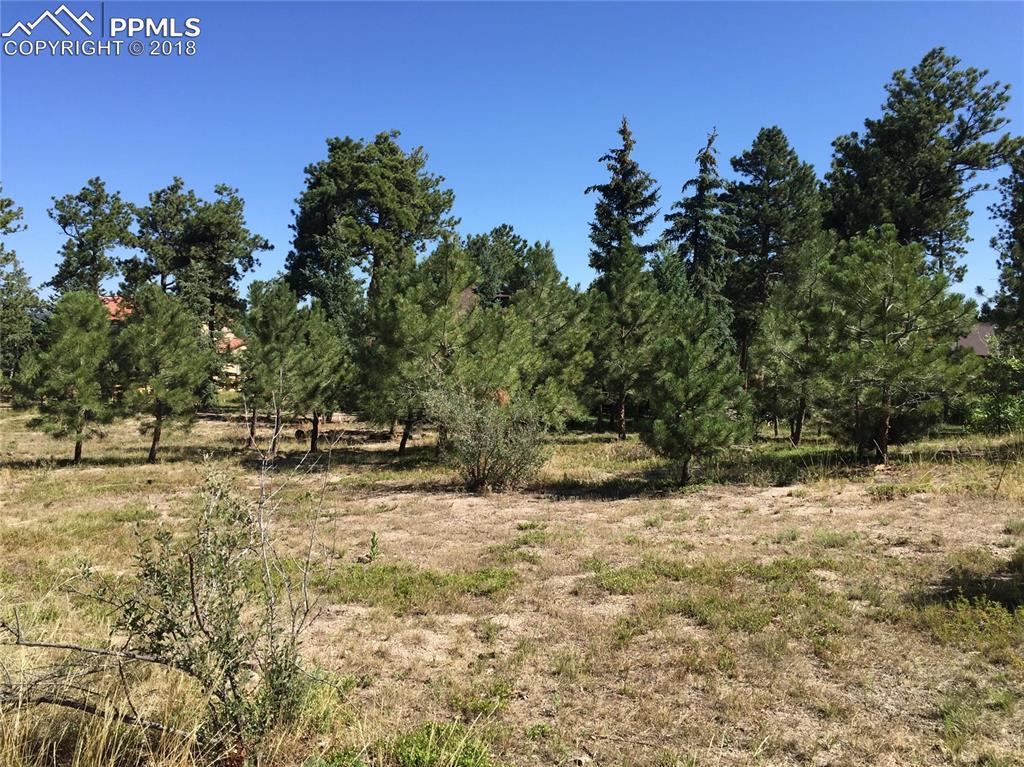 17755 Caribou Drive - Photo 1