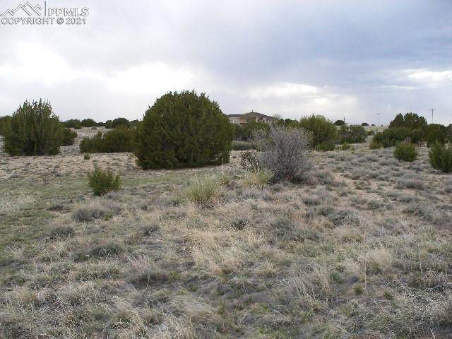 TBD Schaefer Lane - Photo 1