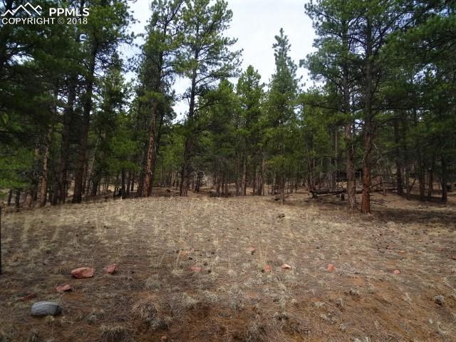49 Crystal Spur - Photo 1