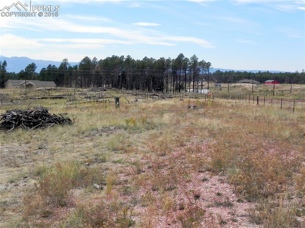7535 Pinery Circle - Photo 1