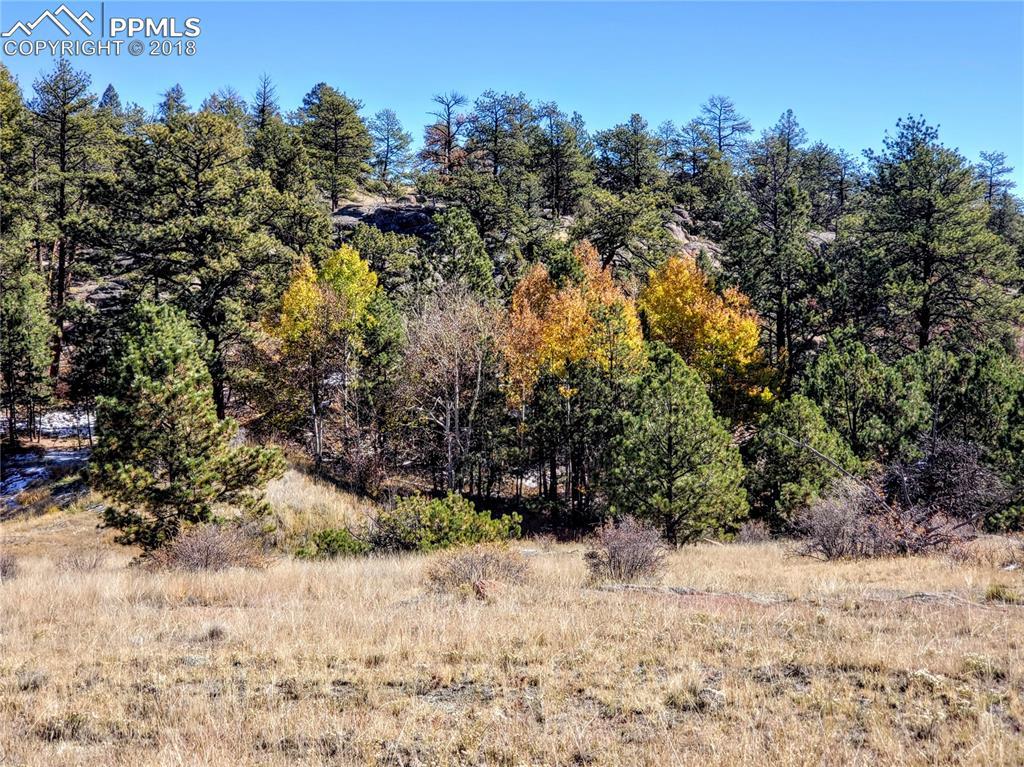 202 Pike View Lane - Photo 1