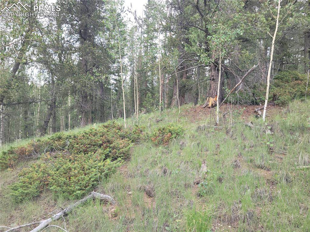 2455 Yorktown Road - Photo 1