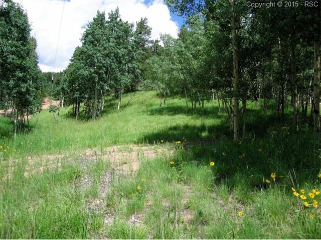100 Eagle Mountain Road - Photo 1