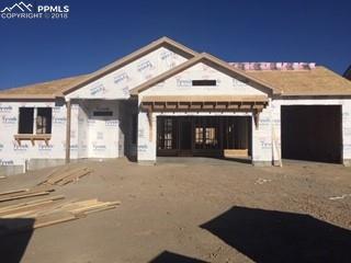 12737 Pensador Drive - Photo 1