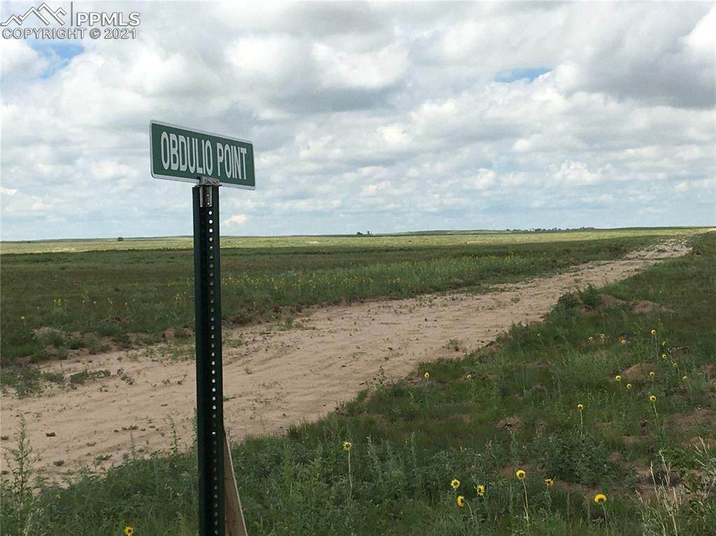 3000 Obdulio Point - Photo 1