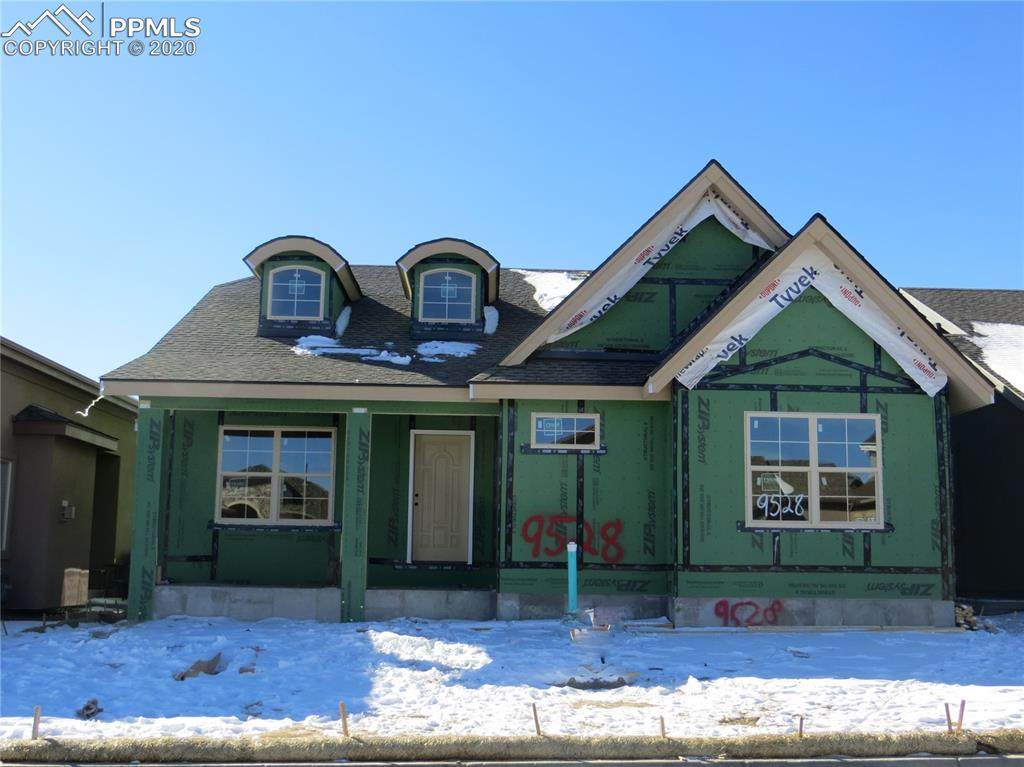 9528 Dewitt Drive - Photo 1