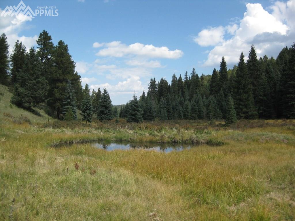 3800 Elk Ridge - Photo 1